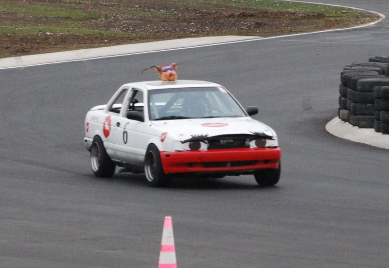 Illustration for article titled 24 Hours Of LeMons Arse Freeze-A-Palooza Über Gallery: Awesome Datsuns, Driven Nissans